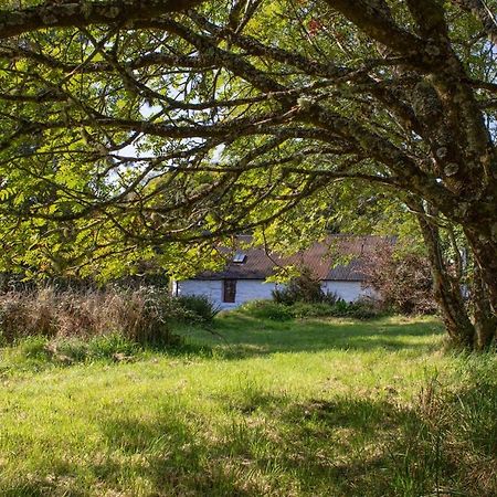 Half Of 12 Camustianavaig Villa Camastianavaig Dış mekan fotoğraf